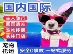喀什徕宁空运代理国际宠物托运 【国